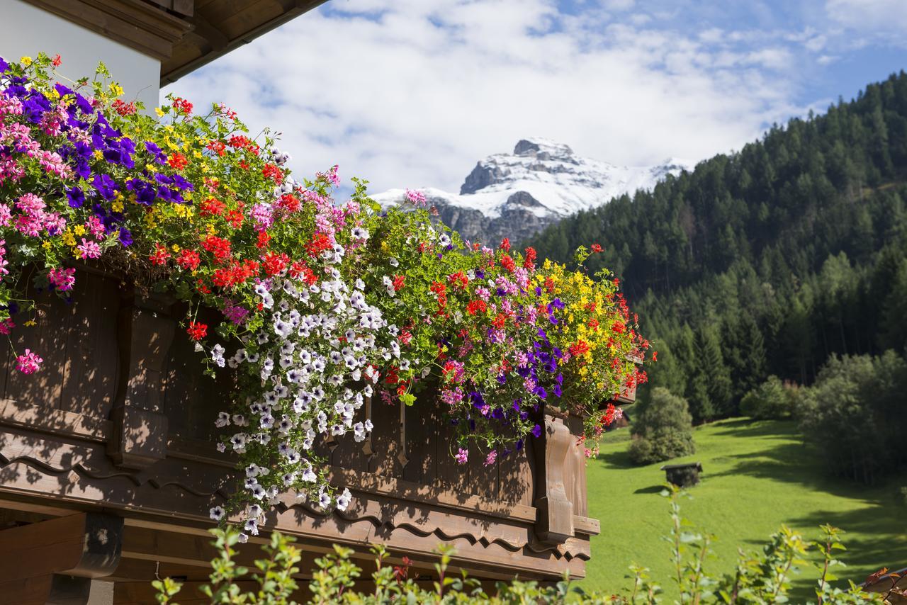 Haus Fernblick Hotel Neustift im Stubaital Bagian luar foto